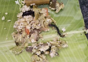 தூத்துக்குடியில் உள்ள பிரபல ஹோட்டலில் வாங்கிய பார்சல் சாப்பாட்டில் பூரான் : சாப்பாடு சாப்பிட்ட கர்ப்பிணி பெண்ணுக்கு வாந்தி மயக்கம் ஆஸ்பத்திரியில் தீவிர சிகிச்சை!