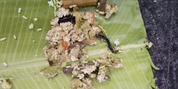 தூத்துக்குடியில் உள்ள பிரபல ஹோட்டலில் வாங்கிய பார்சல் சாப்பாட்டில் பூரான் : சாப்பாடு சாப்பிட்ட கர்ப்பிணி பெண்ணுக்கு வாந்தி மயக்கம் ஆஸ்பத்திரியில் தீவிர சிகிச்சை!